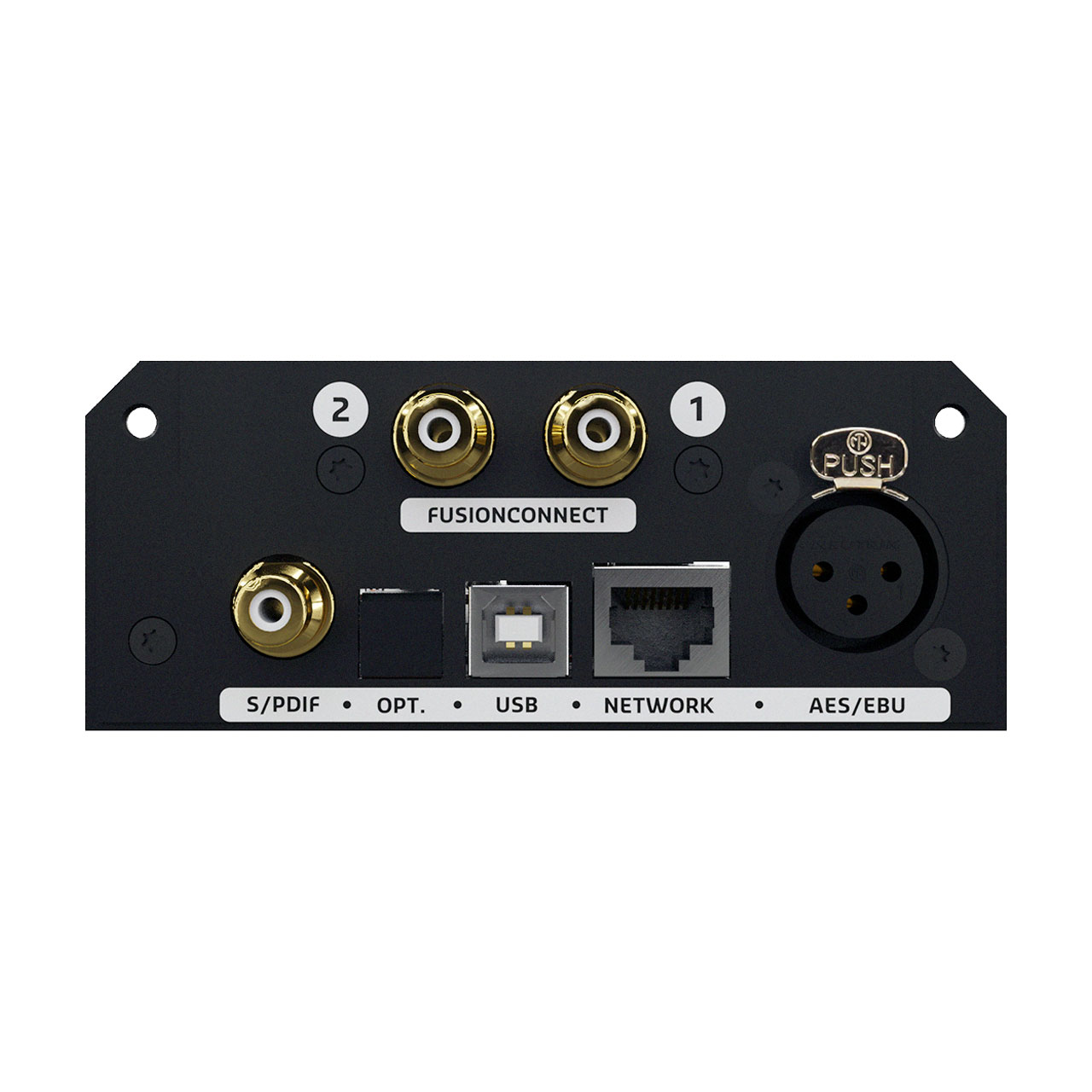 DIYclassD DIY PreDIGin add-on rear view